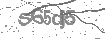 Doğrulama Kodu
